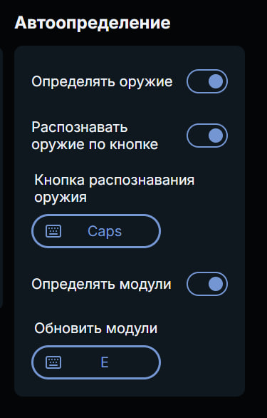 Блок «Автоопределение» в настройках Recsynx
